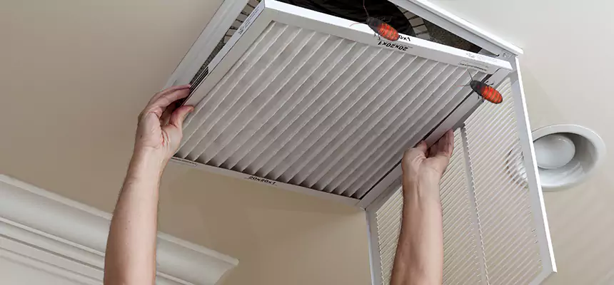 Our Insect Removal from Air Ducts Services in Weymouth, MA