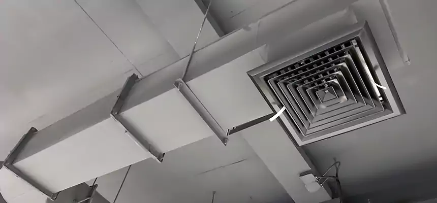 Our Pest Removal From Ducts Services in Weymouth, MA