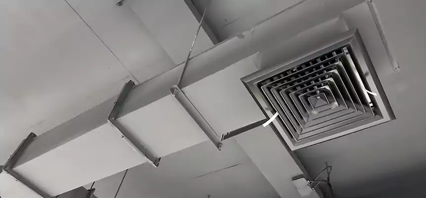 Our Rodent Droppings In Vents Services in Weymouth, MA