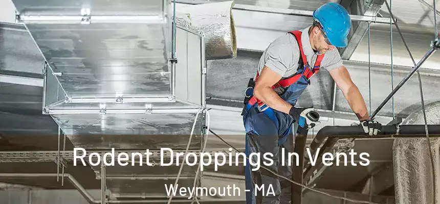  Rodent Droppings In Vents Weymouth - MA