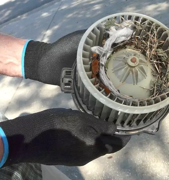 About Air Duct Mice Removal in Weymouth, MA