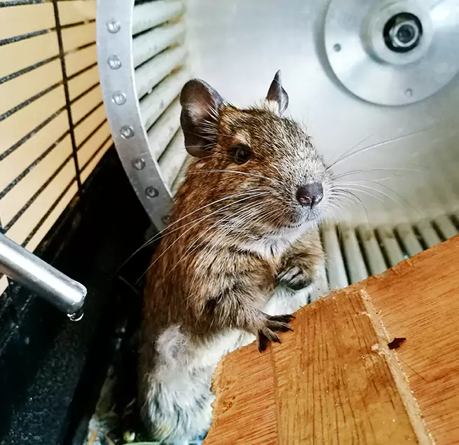 Why Homeowners & Businesses Trust Us Weymouth, MA?