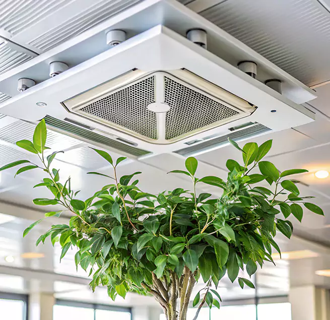 Why Homeowners & Businesses Trust Us in Weymouth, MA